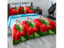 39_537 1367 ��� ���� �����.jpg