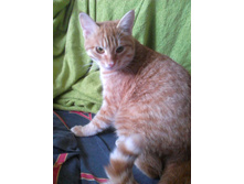 ������ 14-9.jpg