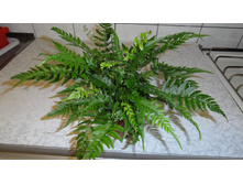 ���������� - 250 - 350 ���.