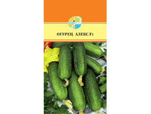 ������ ����� F1_39,00+%