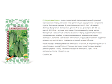 ���������� �����.png