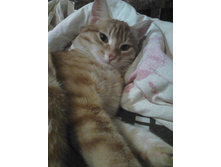 ������ 14-5.jpg