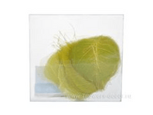 image431 - �����.png