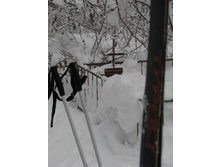 IMG_3077_rs.jpg