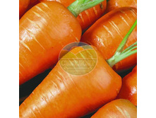 ������ ������� ���������� ������ � 515 (4 �).jpg