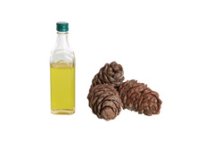 �������� �����