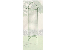 �������  ����� ������.jpg