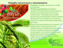 ������ ��������� � ����������