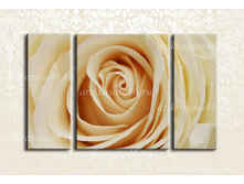 F122 - 1560 ���