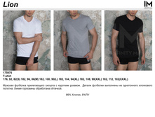 Lion ������� ����������.jpg