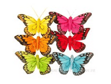 image539 - �����.png