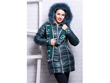 ������ � ���� ����������