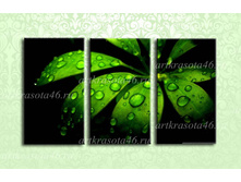 F013 - 2995 ���.