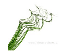 image184 - ����� - ����� - �����.png