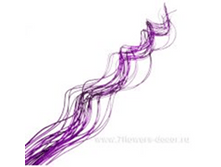 image172 - ����� - ����� - �����.png