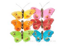 image532 - �����.png