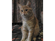 ������ 14-10.jpg