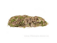 image523 - �����.png