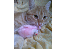 �������� 14-8.jpg