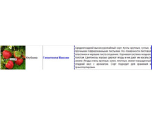 ���������� ������.jpg