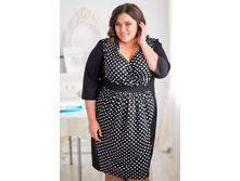 096-5 (����������� �� 1 ������)