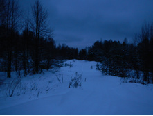 DSCN4271.JPG