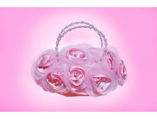 ������� ��� ������� ������� �������� ����� ���.SR-4.jpg