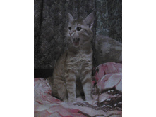 ������� 14-10.jpg