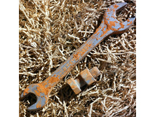 ���� ������� No5