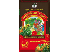 ����� ����������� ��������� ������ (6 �.jpg