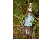 ����������� �������� ������� (��������� ����), ���� 210���