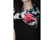 ����������� ������� STR-79