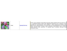 ����� ������� �������.jpg