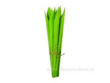 image262 - ����� - ����� - �����.png