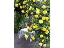 ������ (���),2,95����.jpg