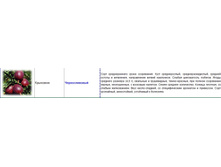 ��������� �������������.jpg