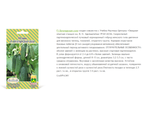 ����������� ����.png