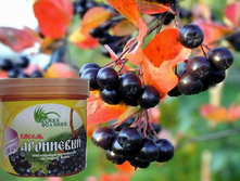 ������ ���������