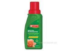 image026 - �����.png