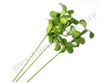 image162 - ����� - ����� - �����.png