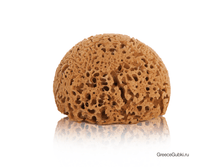 Honeycomb �� ����������.png
