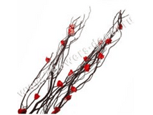 image205 - ����� - ����� - �����.png