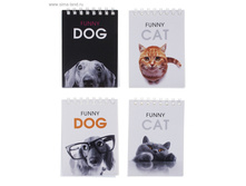 ������� �7, 40 ������ �� ������ ��� ����� ��-���, 4 ���� ���� ���.668435 ���� 6,2 ���. �� 20 �� ������! ������..jpg