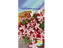 ��������� ������� ������ ����� ����_14,20+%