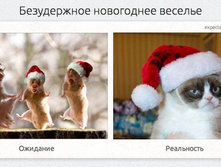 1414651647_realnost-19.jpg