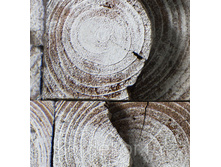 88070891_w640_h640_87008_1_.jpg