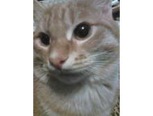 ������� 14-2.jpg