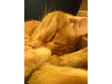 ������ 14-3.jpg