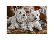 ����� ������� 27 �� 38 Ag 413- 846 ���..jpg