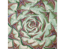 �������� ������ 38*38 �� - �������� �������� (4 ��.)